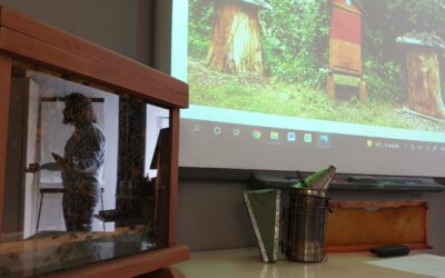 Abeilles & Co : une journée “ruche & riche” à NDL…